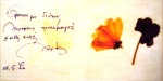 Ευχετήρια κάρτα με ξεραμένα λουλούδια από το Παρθένι